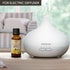 Lemon Essential Oil 1.0 Fl Oz (30ml) - 100% Pure & Natural Aromatherapy for Relaxation & Nails Care