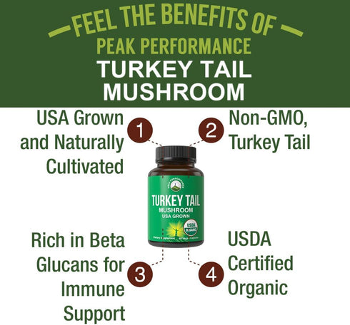 Immune Immunity. Peak Performance Organic Turkey Tail Capsules - USA Grown Made with Real Turkey Tail Mushroom. System