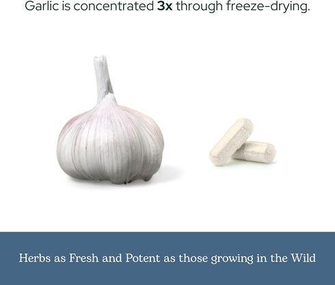 Eclectic Herb Premium Freeze-Dried Garlic Capsules, 120 CT (550 mg) | Cardiovascular Health & Immune Support