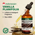 Set Set 2x4 oz Vanilla Essential Oil for Diffuser & Orange Essential Oil for Diffuser - Aromatherapy Grade Essential