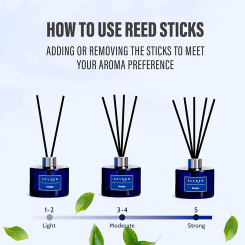 Escape Scented Reed Diffuser with Sticks, 6.7 Oz (200ml) Home Fragrance for Bathroom, Bedroom Decor