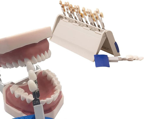 29 Colors Teeth Whitening Shade Chart, Individually Removable Tooth Bleaching Comparison