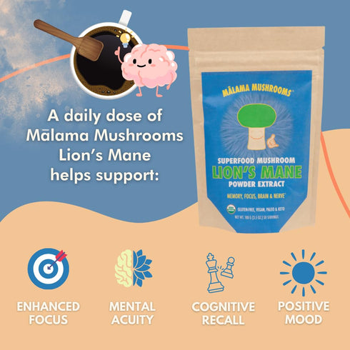 Lion's Mane Extract Powder by Malama, Organic Fruiting Body Lions Mane Mushroom Powder, Superfood Adaptogenic, Supports