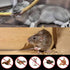 Ultra Sonic Rodent Electronic Repellers, Battery Operated Mouse Pest Reducer with Strobe Lights for Indoor Use