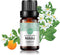 Neroli Essential Oil, 100% Pure Organic Plant Natural Flower Essential Oil for Diffuser