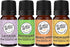 Wild Essentials Dolphin Enamel Aromatherapy Car Vent Diffuser, 8 Color Pads, 100% Pure Essential Oils Gift Set