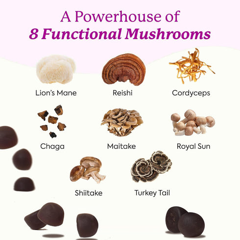 GUSUPY Gummies 12 60 Gummies Lions Mane Mushroom Supplement - Organic Mushroom Blend with Cordyceps, Reishi, Chaga