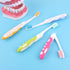 EasyHonor Travel Toothbrush Bulk, Folding Toothbrush with Medium Soft Bristles, for Hiking, Camping, Traveling, School
