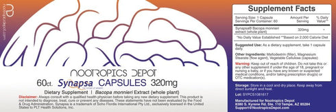 Nootropics Depot Synapsa Bacopa Monnieri Capsules | 320mg | 60 Count | Whole Plant Extract Ayurveda Supplement