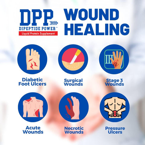 Nutritional Designs DPP Dipeptide, Wound-Healing Liquid Collagen & Whey Protein Supplement, Watermelon, 32 Fl Oz