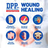 Nutritional Designs DPP Dipeptide, Wound-Healing Liquid Collagen & Whey Protein Supplement, Watermelon, 32 Fl Oz