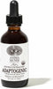 Anima Mundi Apothecary Adaptogenic 7 Mushroom Drops, Organic Extracts, Liquid Immune Support Tincture, 2oz