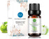 Rainbow Abby 2-Pack Apple Essential Oil - Pure, Undiluted, Therapeutic Grade - 2x10 mL