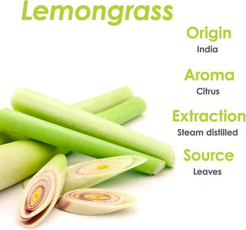 Lemongrass Essential Oil 16 oz Large Bottle for Aromatherapy, Soaps, Candles, Diffuser & Personal Care - 473 ml