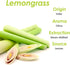 Lemongrass Essential Oil 16 oz Large Bottle for Aromatherapy, Soaps, Candles, Diffuser & Personal Care - 473 ml