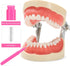 Healeved 100pcs Interdental Brush Flossers, Portable Braces Brush for Cleaner Tooth Flossing, 5 Colors