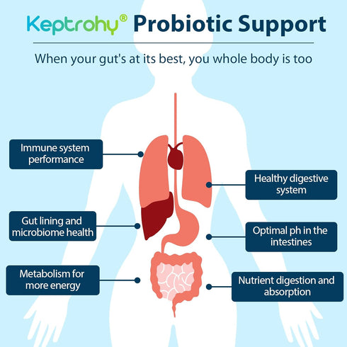 Probiotics for Women and Men, 300 Billion CFU from 12 Strains, 60 Capsules for Gut & Immune Health