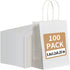 RACETOP 100 Pack White Kraft Paper Gift Bags with Handles | 5.8x3.2x8.25 Inch | Bulk Retail Shopping Bags