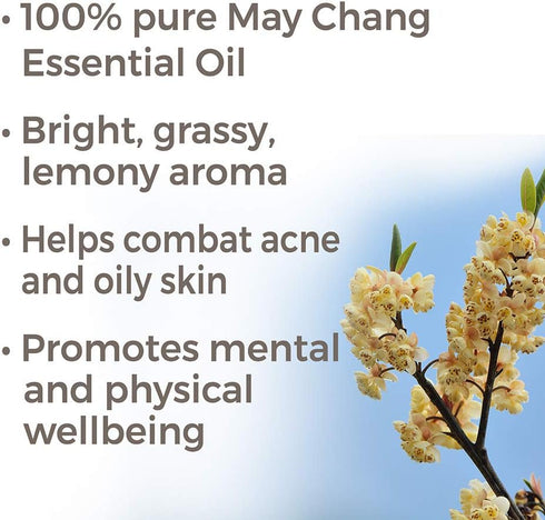 Plant Therapy May Chang (Litsea Cubeba) Essential Oil 30 mL (1 oz) 100% Pure, Undiluted, Therapeutic Grade