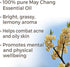 Plant Therapy May Chang (Litsea Cubeba) Essential Oil 30 mL (1 oz) 100% Pure, Undiluted, Therapeutic Grade