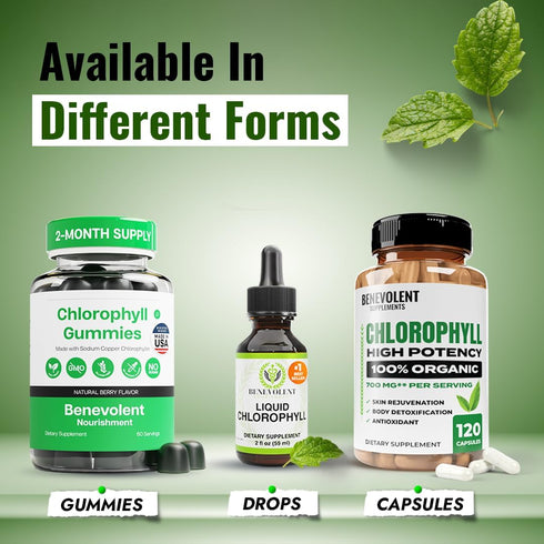 Immune Benevolent Nourishment Chlorophyll Supplement, Detox & Support, Internal Deodorizer, Liquid Drops