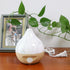 Mottery 99.9% 8 (MC-01) Menstrual Cups Steamer Machine High Temperature Wash Your Cup Dirty Minutes - Feminine Hygiene