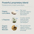FOCL Focus Supplement for Adults, Lions Mane Capsules for Cognitive Performance and Stress Relief