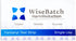 WiseBatch Harm Reduction Pack (10) #1 99% <2 WiseBatch Fentanyl Test Strip + MicroScoop and Instructions, of Ten Most