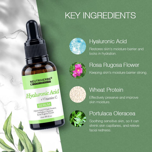 Neutriherbs Hyaluronic Acid Serum, 30ml, Lightweight Daily Facial Serum for Oily & Acne-Prone Skin