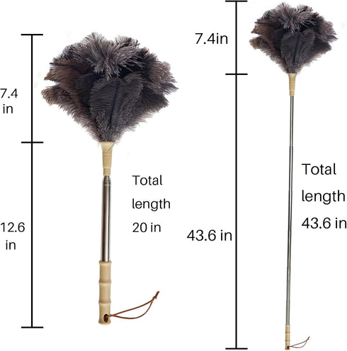 Aldwin Ostrich Feather Duster with Extension Pole, Up to 43 inch, Genuine Reusable Handheld Cleaning Duster