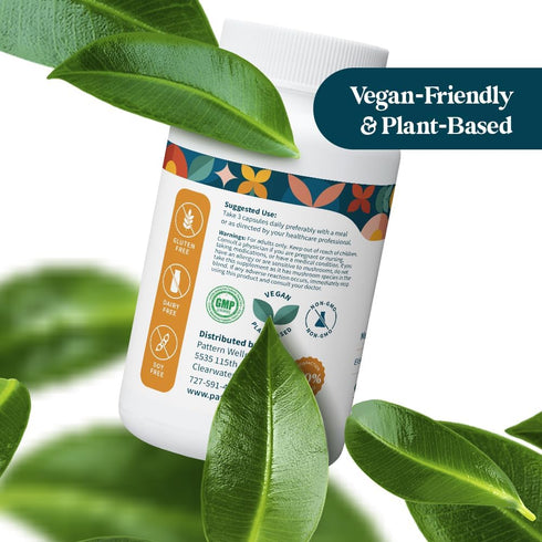 Pattern Wellness Lion's Mane Supplement - Brain Health SuperFood Mushroom - Cognitive & Cell Support - 90 Vegan Capsules