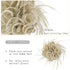 HMD Tousled Updo Messy Bun Hair Piece - Synthetic Hair Extensions with Elastic Rubber Band for Women (18t613#)