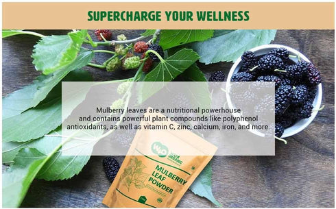 WAY 4 ORGANIC W4O Mulberry Mulberry 2 Lb(2 Packs 1lb) Way4Organic Leaf Powder - Leaf Extract- All-Natural Raw Herb