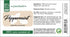 Peppermint Essential Oil, 4 fl oz, 100% Pure Essential Oil, GreenHealth