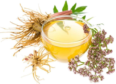 Valerian Root - Valeriana officinalis Dried Loose Root Cut by Nature Tea, 4 oz