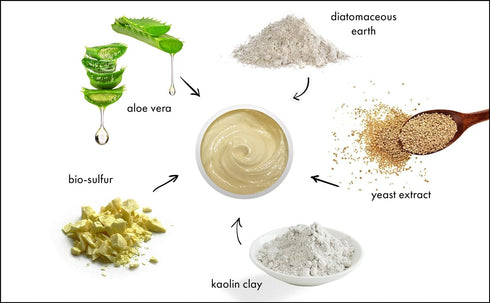 Raya Bio-Sulfur Masque (708), Facial Clay Mask for Deep Pore Cleansing, Exfoliating Face Pack for Oily Skin