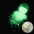 PrettyG 6 Boxes Luminous Nail Art Glitter Set, Glow in The Dark 3D Stickers for DIY Nail Craft Accessories