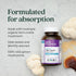 New Chapter Lion's Mane + Reishi Mushroom - LifeShield Mind Force for Mental Clarity, Vegan, 60 ct