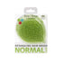 Michel Mercier Travel Hair Brush - Wet Dry Detangling Brush for Curly Hair, Compact Size for Travel