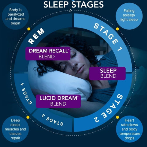 Lucid Dreams Deep Sleep - Mugwort Herb, 5 HTP, Mucuna Pruriens, Choline Supplements, 60 ct