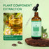 LIYALAN Pure Castor Oil - Cold Pressed Unrefined Hair Oil for Thicken Hair, Nourish Hair & Scalp, Glass Bottle, 3.38 fl