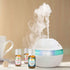 Healing Solutions - Best Blends Essential Oils Set (6x10ml) Pure for Gift Diffusers, Home - Essential Oils Wellness Set