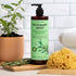 PHARM TO TABLE Rosemary & Mint Shampoo, 480ml
