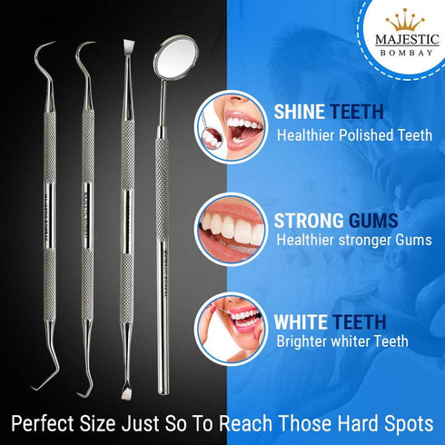 Dental Hygiene Tool Set, Stainless Steel Dental Kit with Tooth Pick, Mouth Mirror, Tarter Scraper, and Protective Case
