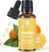 Rythparfum Premium Tangerine Essential Oil 30ML - 100% Pure for Diffuser, Aromatherapy, Skin Care, Candle Making