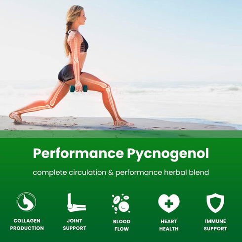 Pycnogenol French Maritime Pine Bark Extract - 60 Capsules for Blood Flow & Nitric Oxide Production, Vegan & Non-GMO