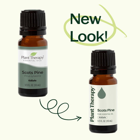 Plant Therapy Scots Pine Essential Oil 30 mL (1 oz) 100% Pure, Undiluted