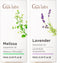 Melissa Essential Oil for Diffuser & Lavender Essential Oil for Diffuser Set