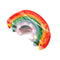 Rainbow Hair Claw Clip, Non Slip 3inch Acrylic Acetate Jaw Barrettes for Women Girls, Cute Hair Accessory