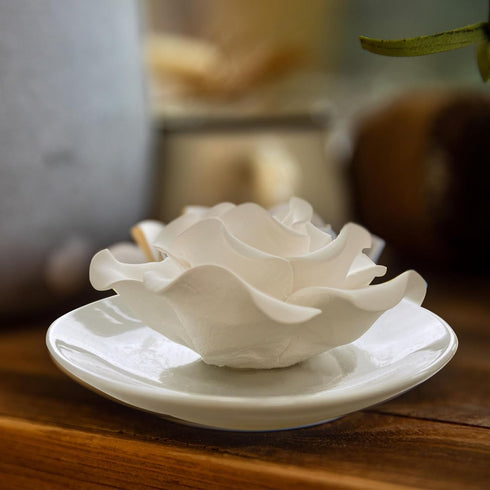 Passive Diffuser for Essential Oil-Ceramic Diffuser Non Electric Oil Diffusers for Small Mini Room, Desk Decorative